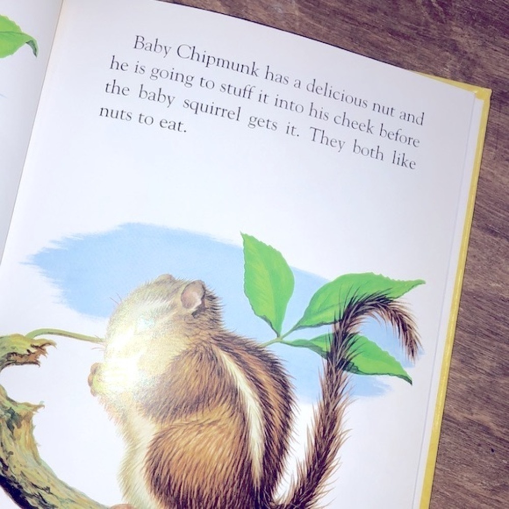 Baby Animals kids golden book - Picture 5 of 6